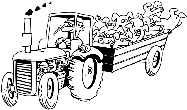 Agriculture Crops Farming Tractor hauling Pigs 003-0146  
